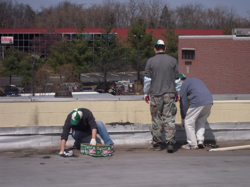 Resized_va roof 006.jpg